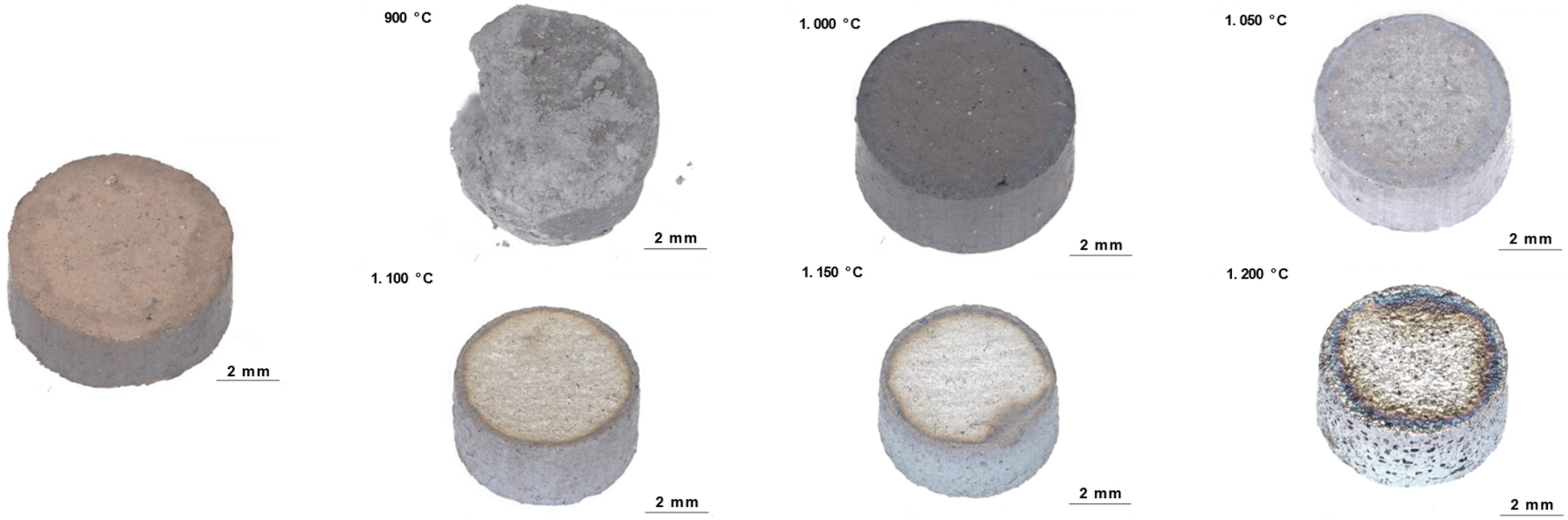 Fig. 2. Pictures of the samples before and after reduction in the temperature range from 900 to 1200 °C.